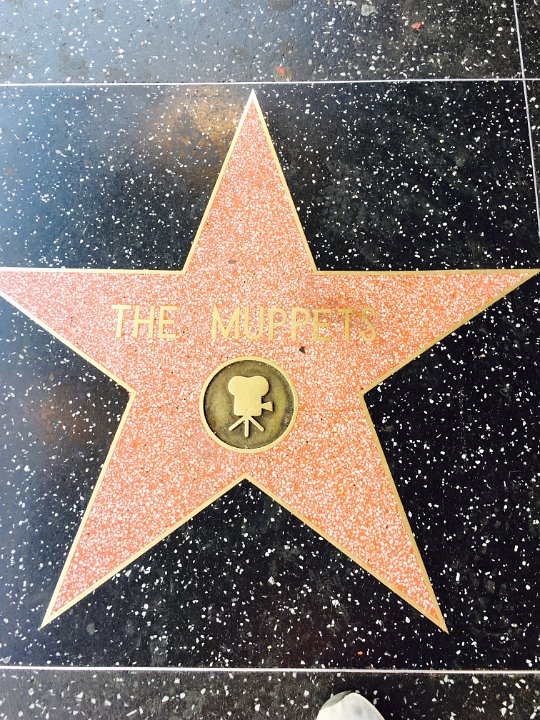 The Muppets Star